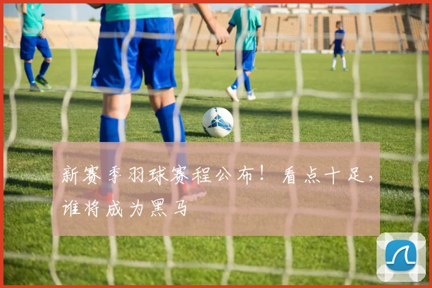 新赛季羽球赛程公布！看点十足，谁将成为黑马