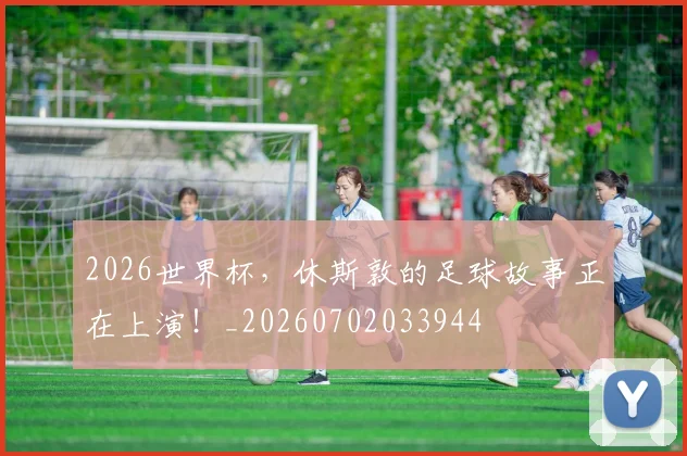 2026世界杯，休斯敦的足球故事正在上演！_20260702033944